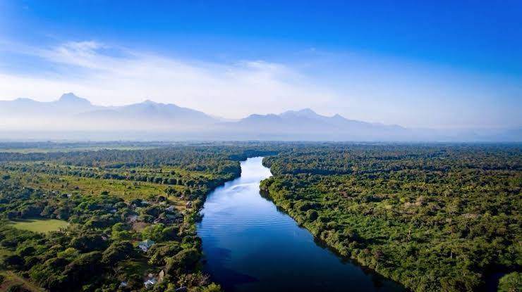 The river winding through Cuero y Salado Refuge